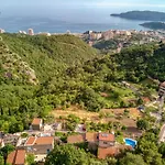 Villa Old Olive 2