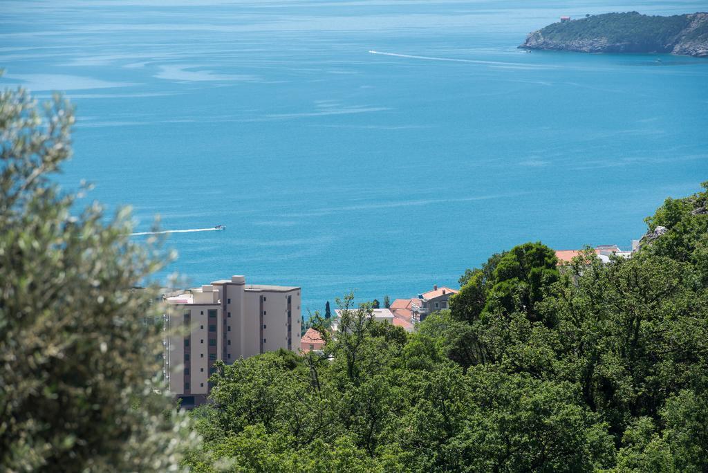 Villa Old Olive 2 *